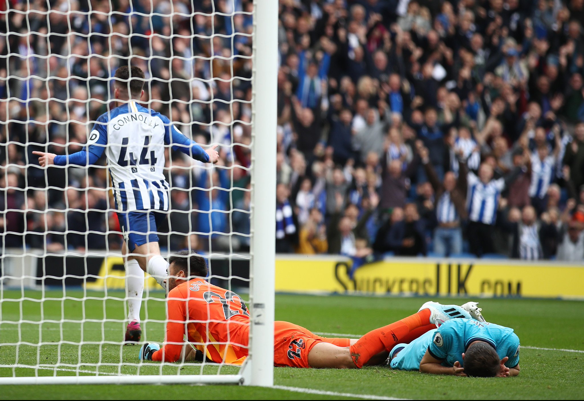 的可获分成 的可获分成